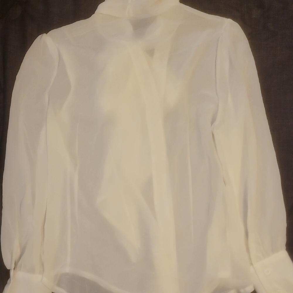 Source Unknown White Ruffled Tie Front Blouse - Picture 2 of 3